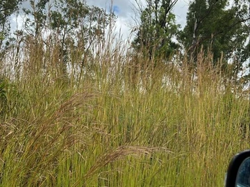 Commercial & Industrial Land