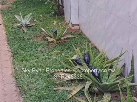 Bloomingdale House For Sale