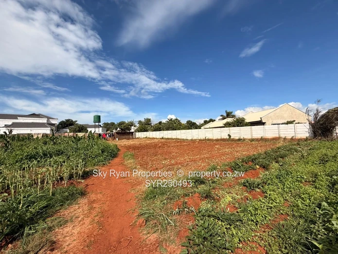 Westgate Stands For Sale- Choice Of 3 