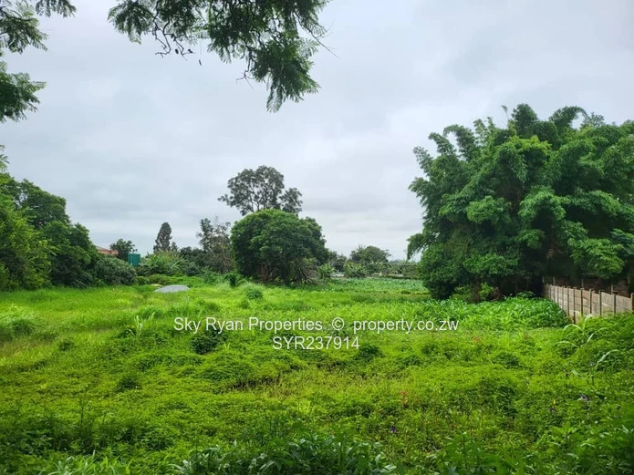 Mabelreign Stand For Sale