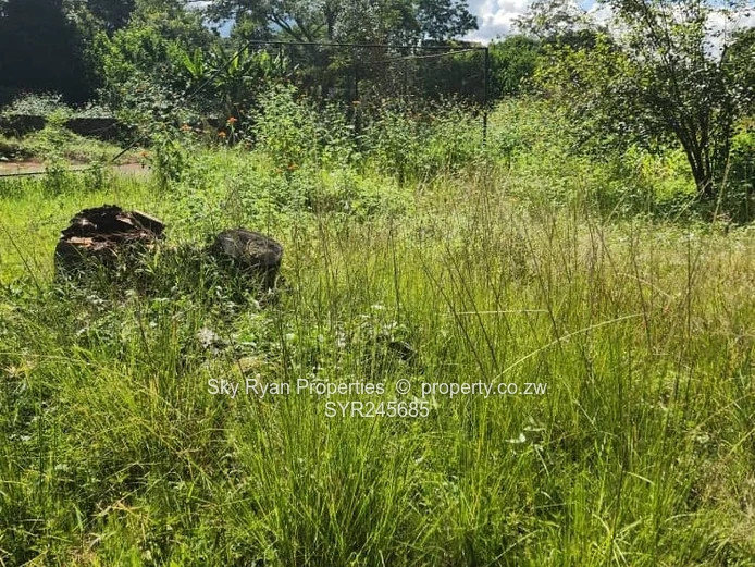 Greystone Park Property For Sale 