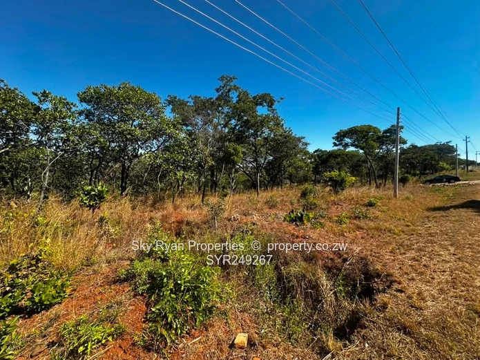 Shawasha Hills Stand For Sale