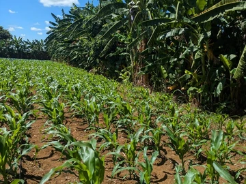 Farm & Agricultural Land
