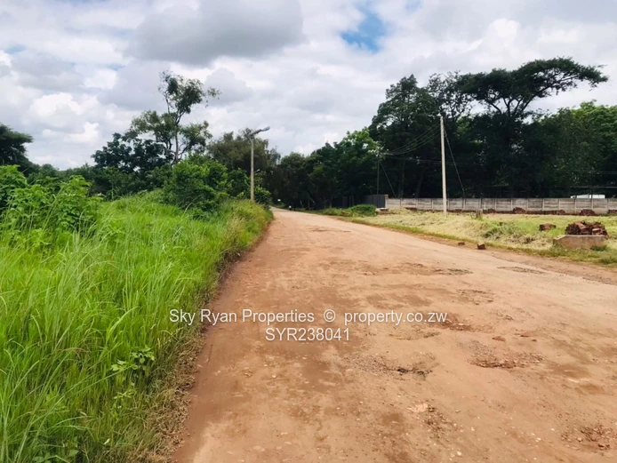 Meyrick Park Stand For Sale