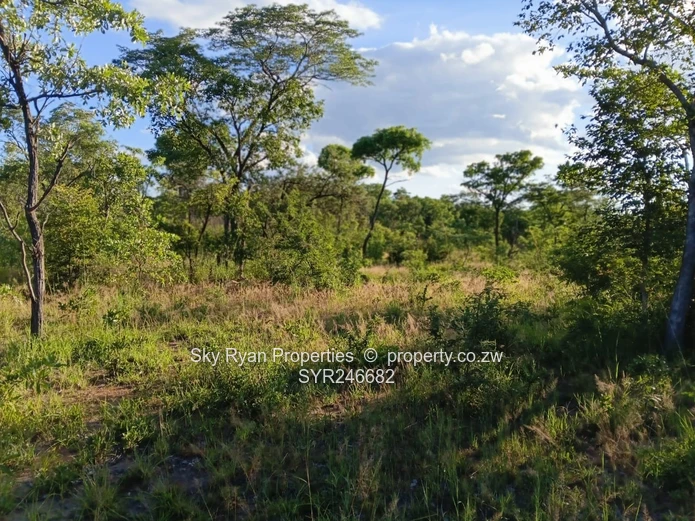 Beatrice Farm For Sale 