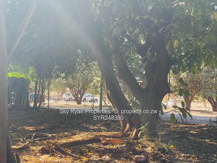 Hicc Cbd Commercial Land For Sale