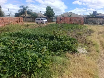 Stands & Residential Land