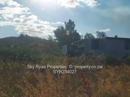 Borrowdale Stand For Sale