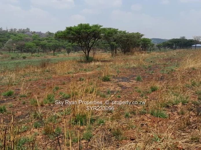 Arcturus Plot For Sale