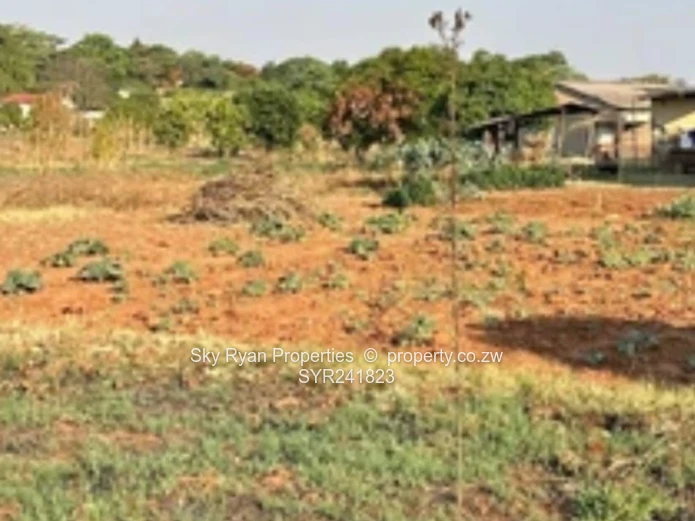 Chinhoyi Orange Groove Property For Sale