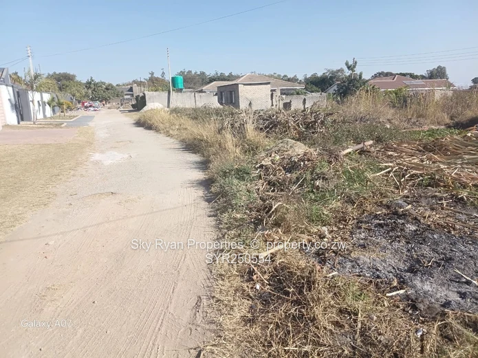 Stand For Sale – Chipukutu
