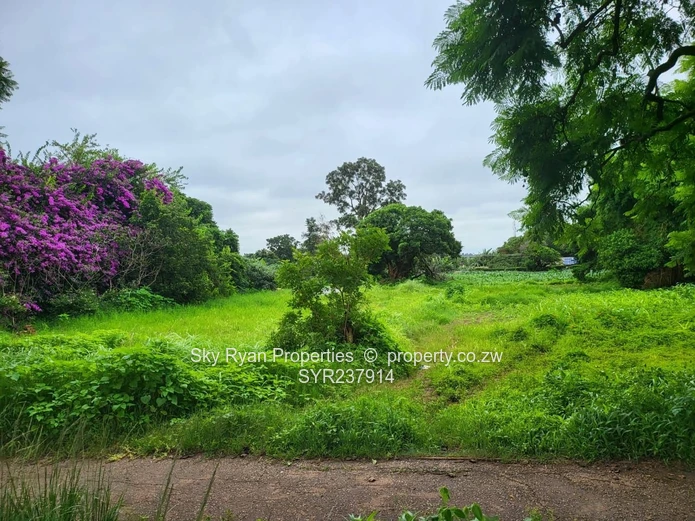 Mabelreign Stand For Sale