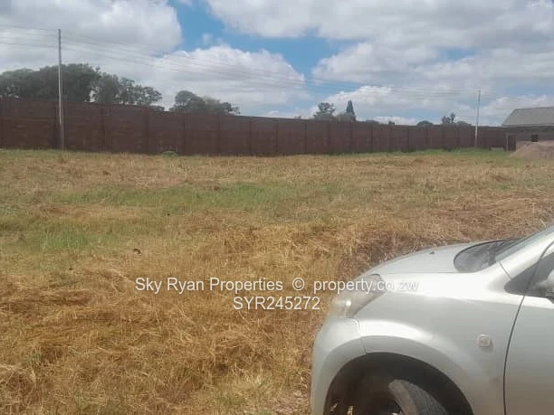 Pomona Nyeredzi Ridge Stand For Sale 