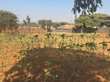 Stands & Residential Land