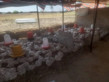 Farm & Agricultural Land