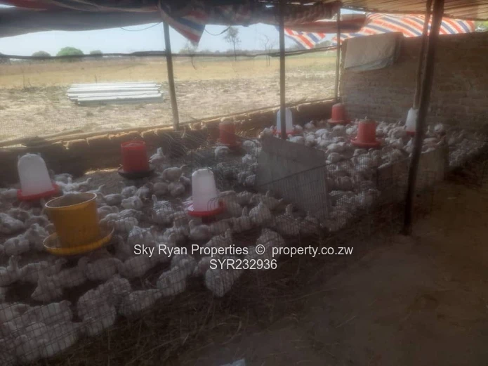 Beatrice Plot For Sale 