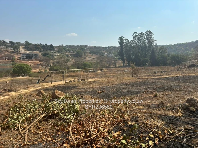 Glen Lorne  Stand For Sale