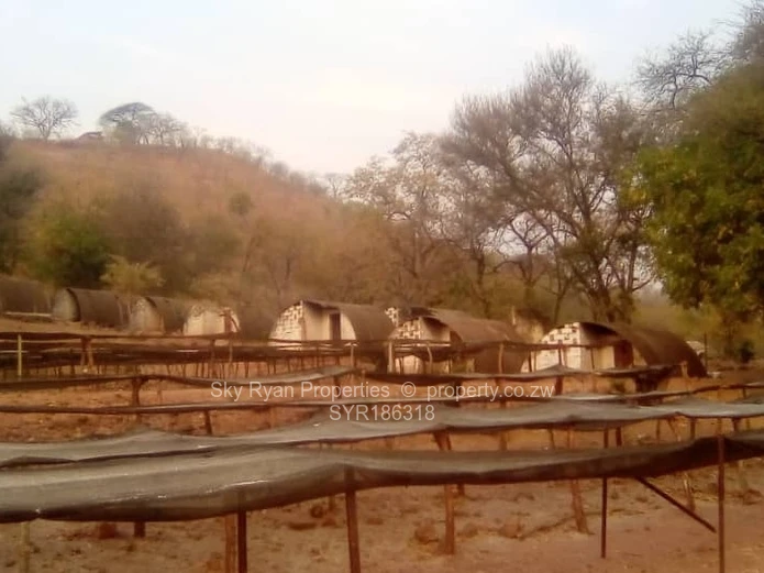 Kariba Land For Sale 