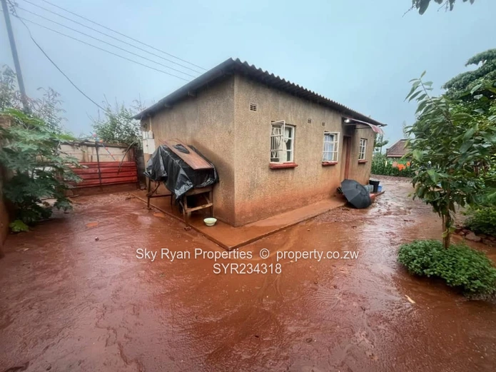 Cold Comfort Stand For Sale