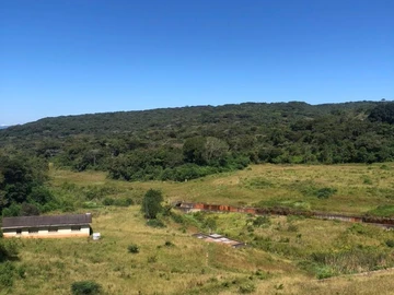 Farm & Agricultural Land