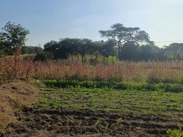 Commercial & Industrial Land