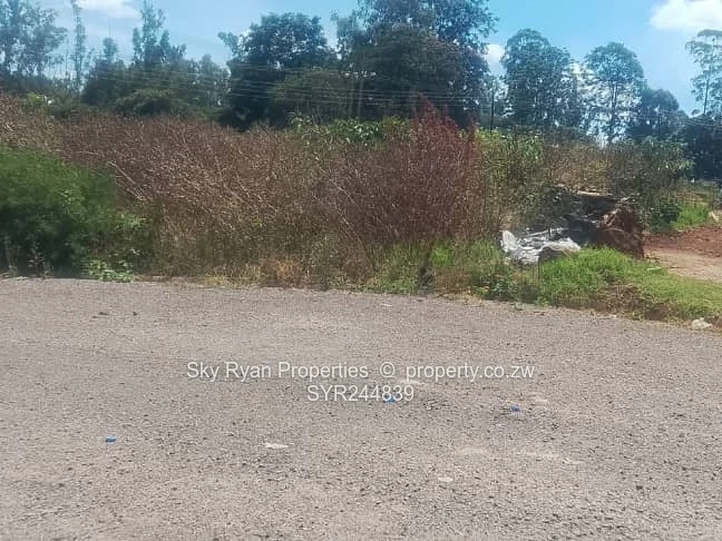 Westgate Ocean Park Stand For Sale