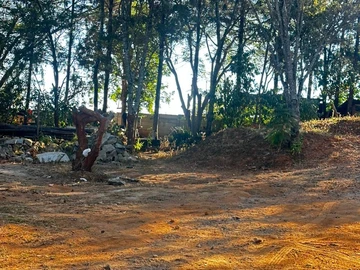 Land