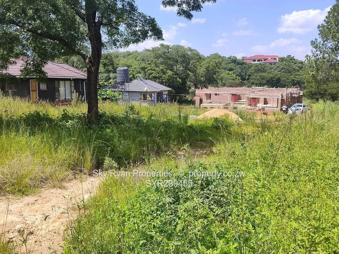 Borrowdale, Carrick Creagh Estate Stand For Sale