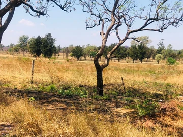 Commercial & Industrial Land