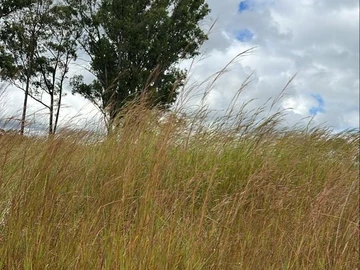 Commercial & Industrial Land