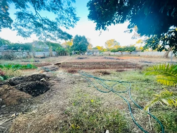 Stands & Residential Land