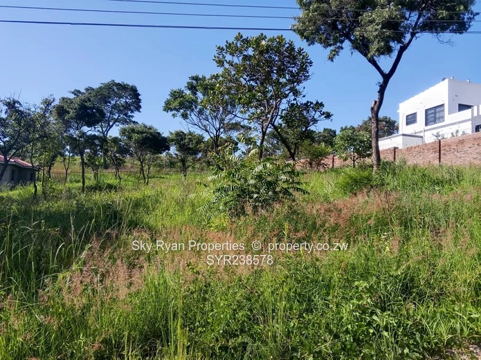 Carrick Creagh Stands  For Sale