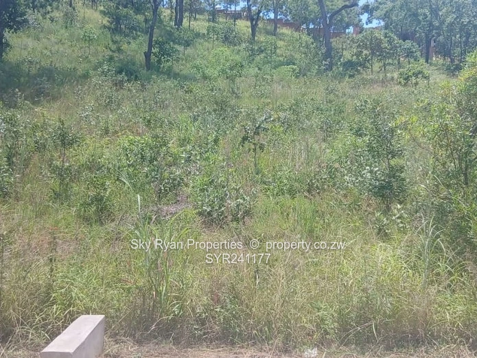 Carrick Creagh Borrowdale Stand For Sale