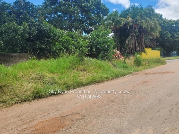 Avondale Stand For Sale