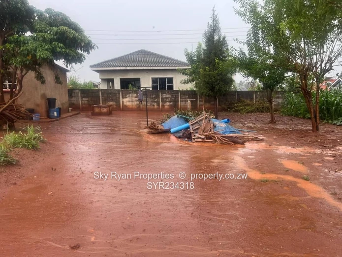 Cold Comfort Stand For Sale