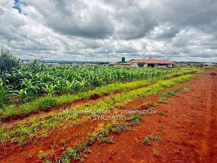 Crowhill Stands For Sale