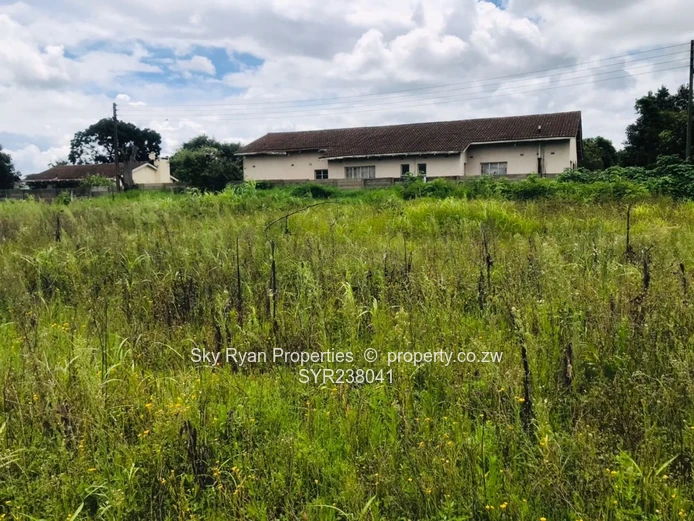 Meyrick Park Stand For Sale