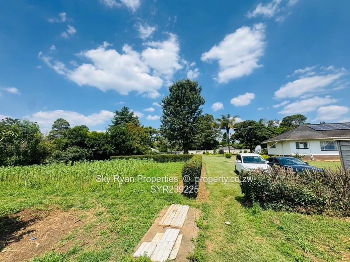 Mount Pleasant Stand For Sale