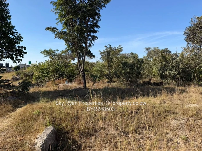 Arlington Estate Stand For Sale