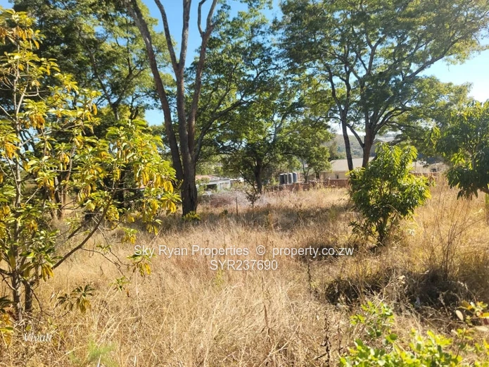 Borrowdale Carrick Creagh Stand For Sale