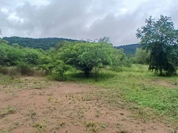 Farm & Agricultural Land