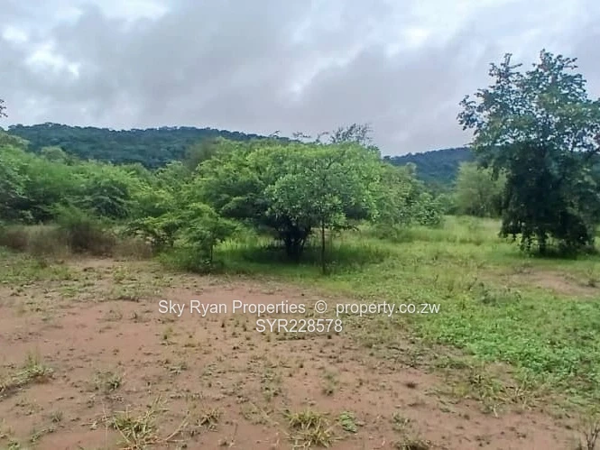 Chinhoyi Farm For Sale