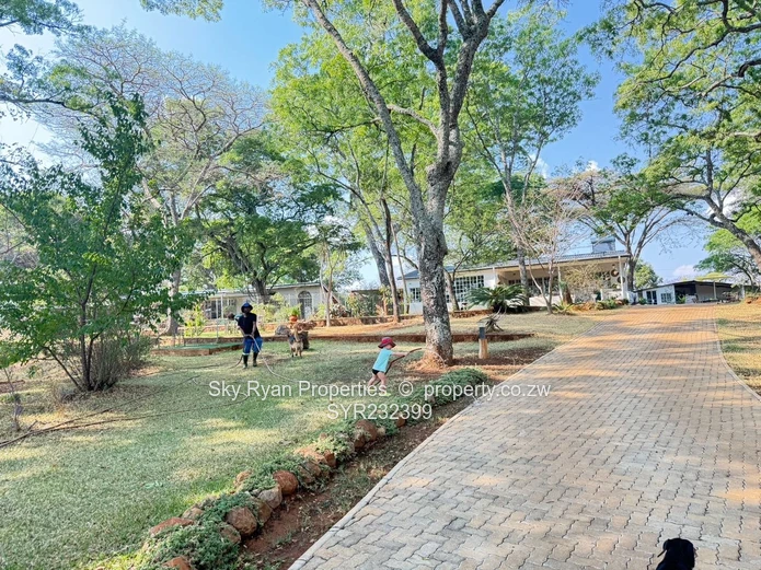 Borrowdale Luna Stand For Sale