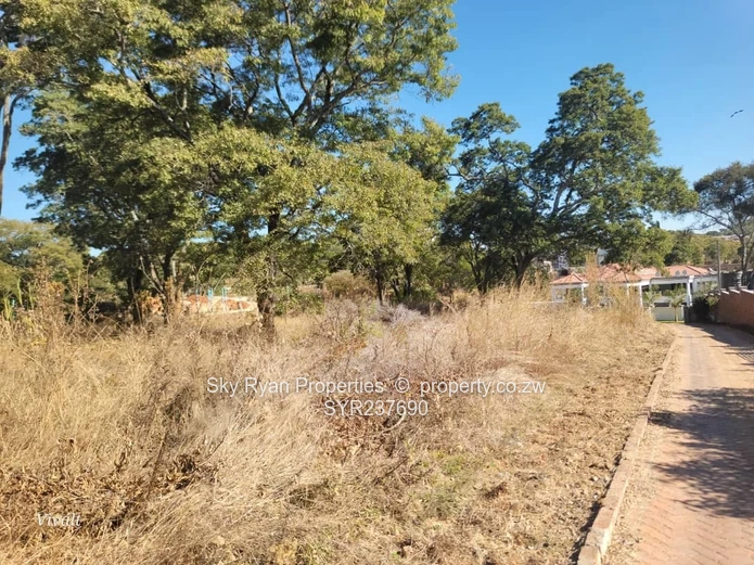 Borrowdale Carrick Creagh Stand For Sale