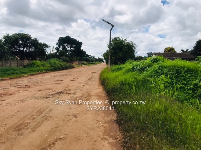 Meyrick Park Stand For Sale