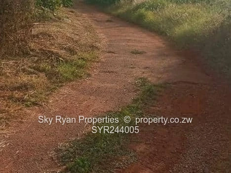 Borrowdale Subdivision Stand For Sale