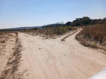 Farm & Agricultural Land