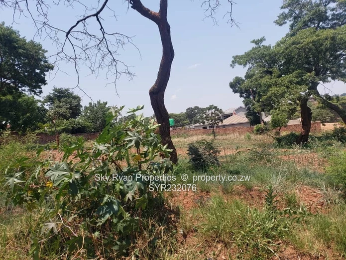 Gletwin Stand For Sale