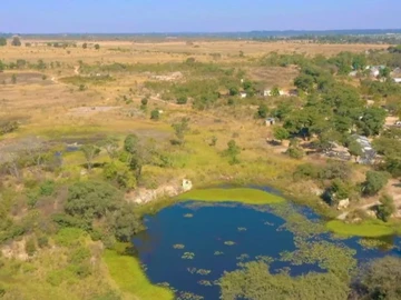 Farm & Agricultural Land