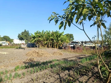 Commercial & Industrial Land